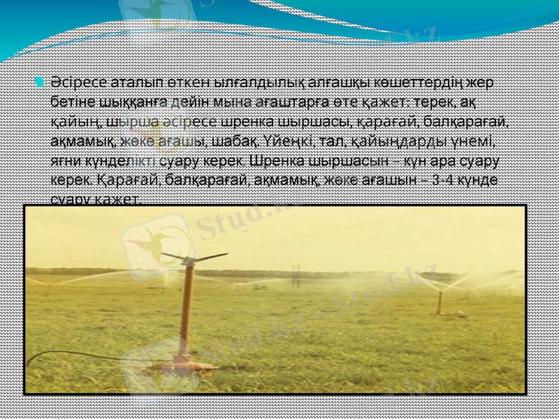 Slide 10