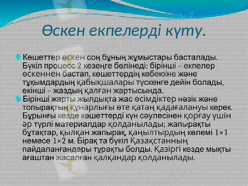Slide 11