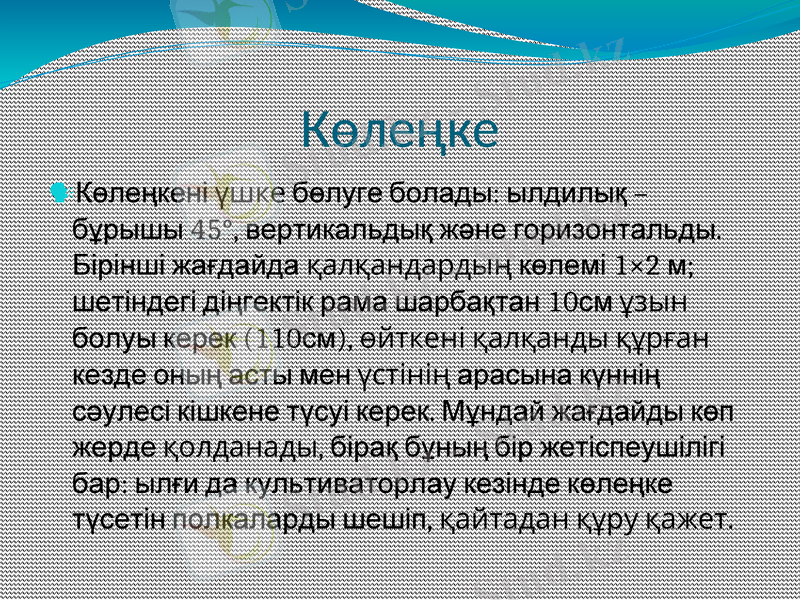 Slide 12