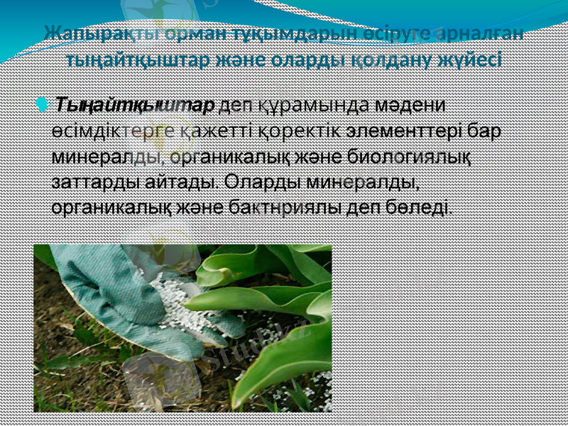 Slide 13