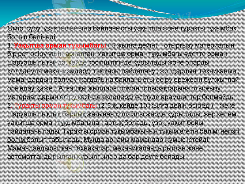 Slide 6