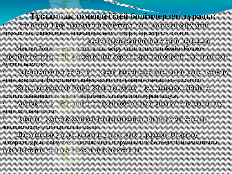 Slide 7