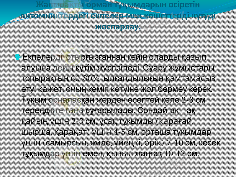 Slide 9