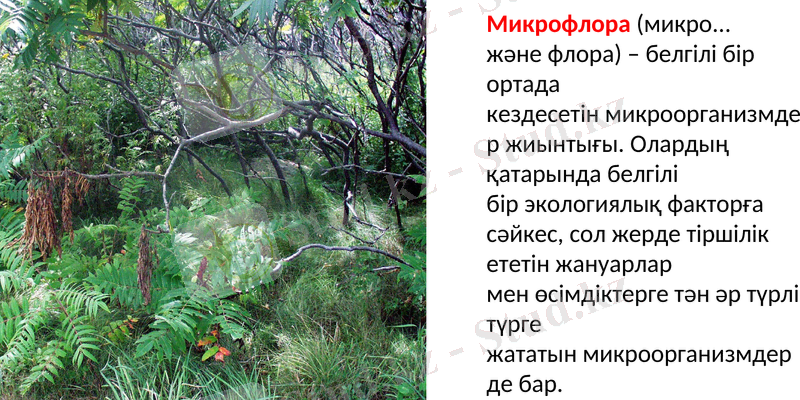 Slide 10