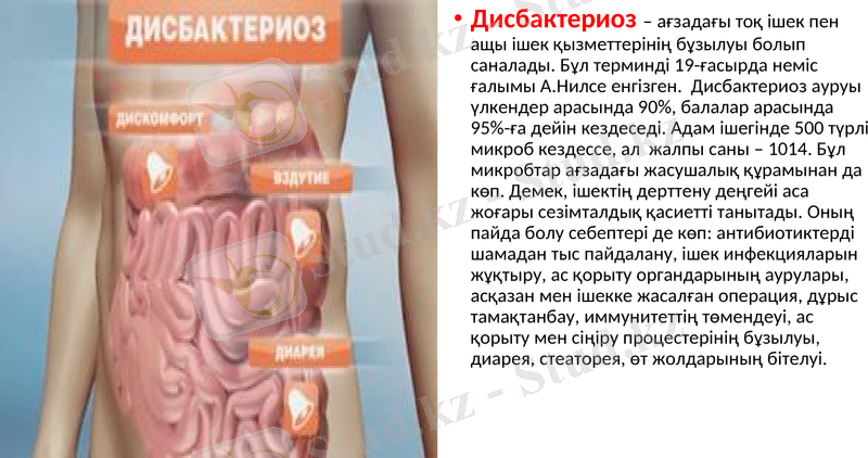 Slide 11