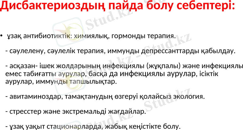 Slide 12