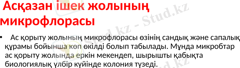 Slide 7