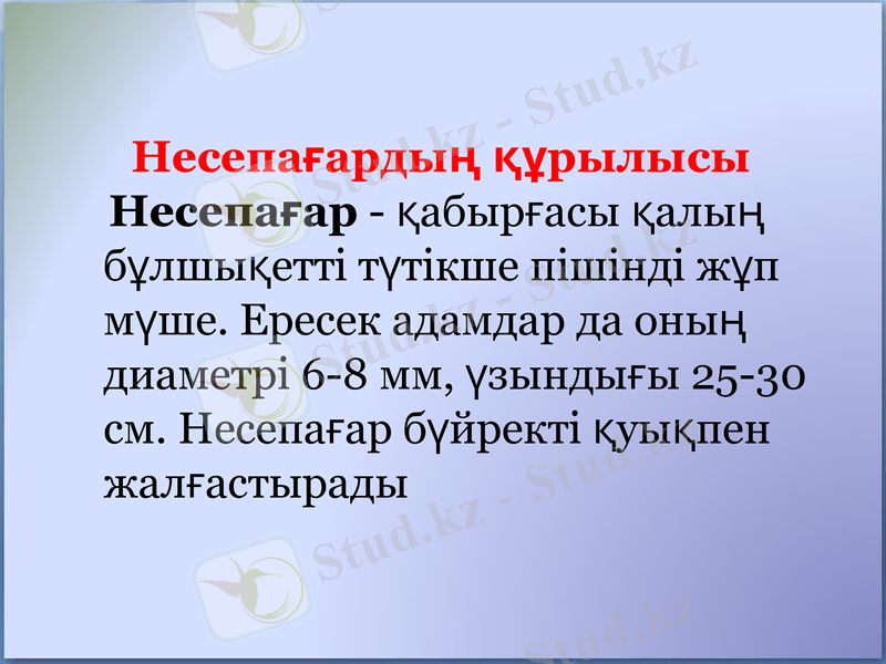 Slide 10