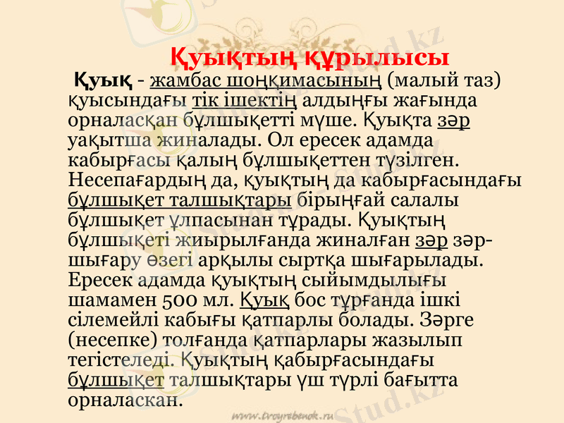 Slide 11