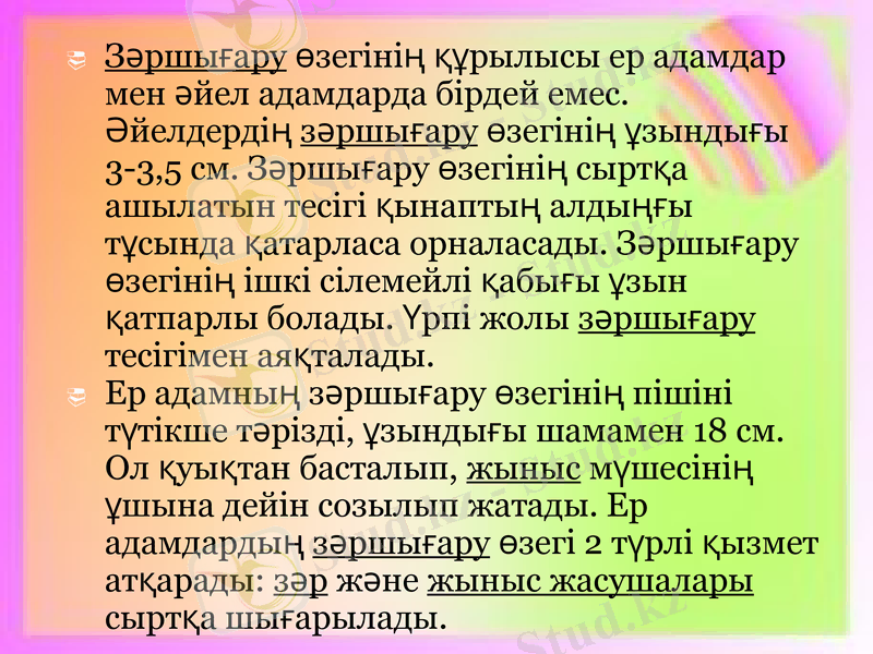 Slide 13