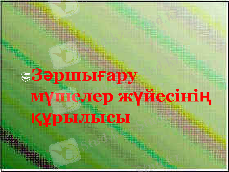 Slide 5