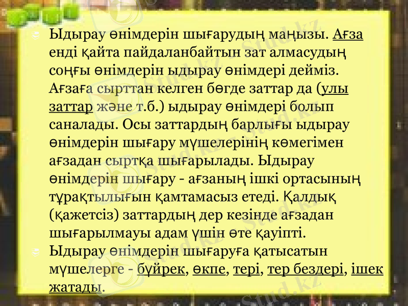 Slide 6