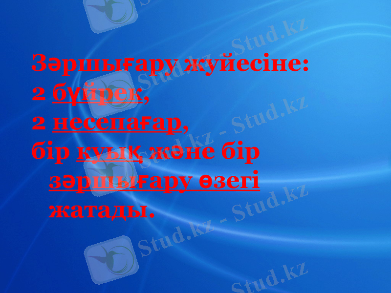 Slide 7