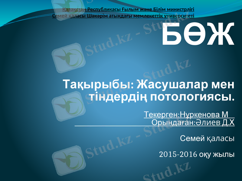 Slide 1