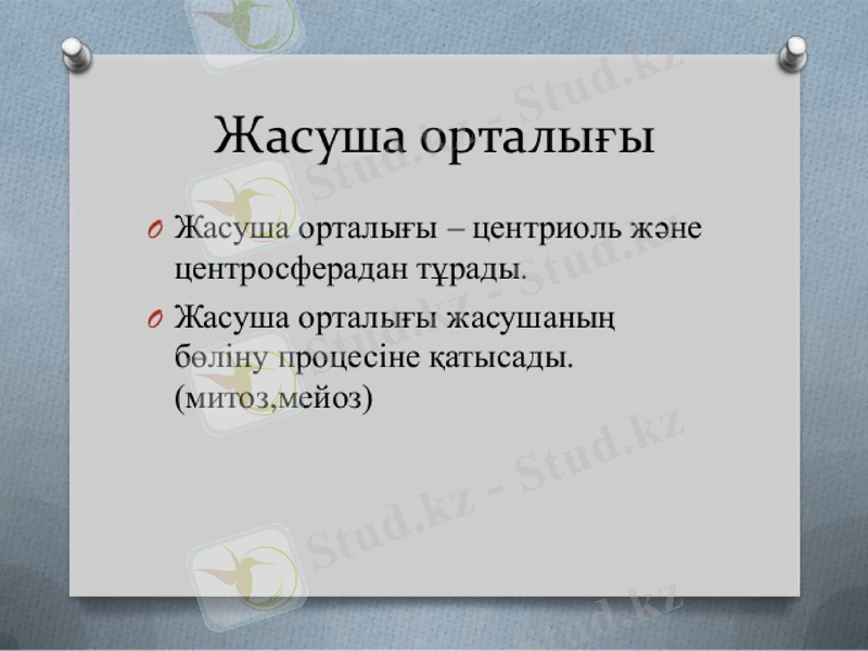 Slide 10