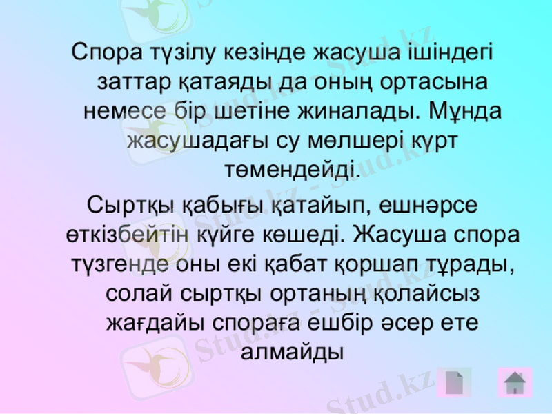 Slide 11