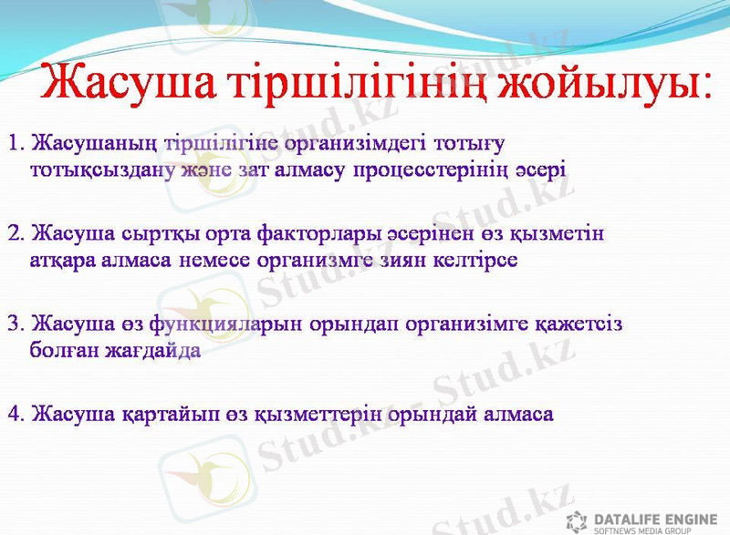 Slide 13