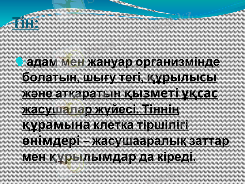 Slide 14
