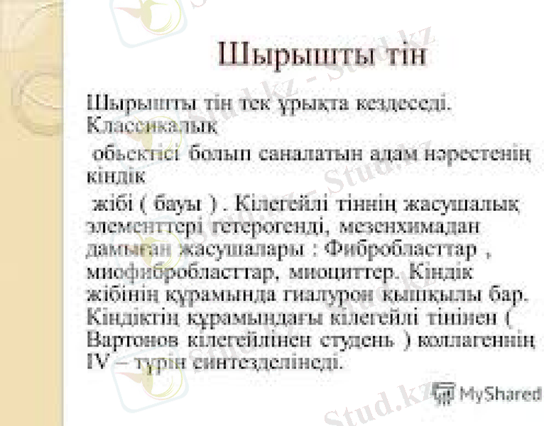 Slide 15