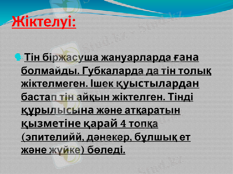 Slide 17