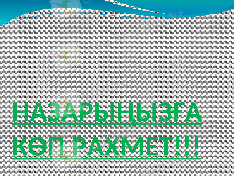 Slide 19