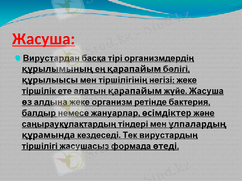Slide 2