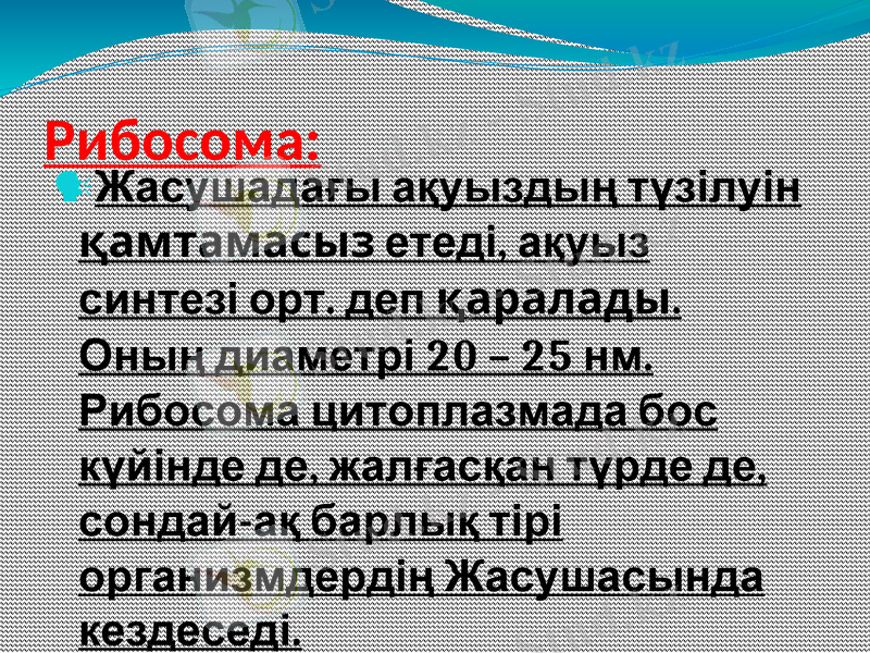 Slide 6