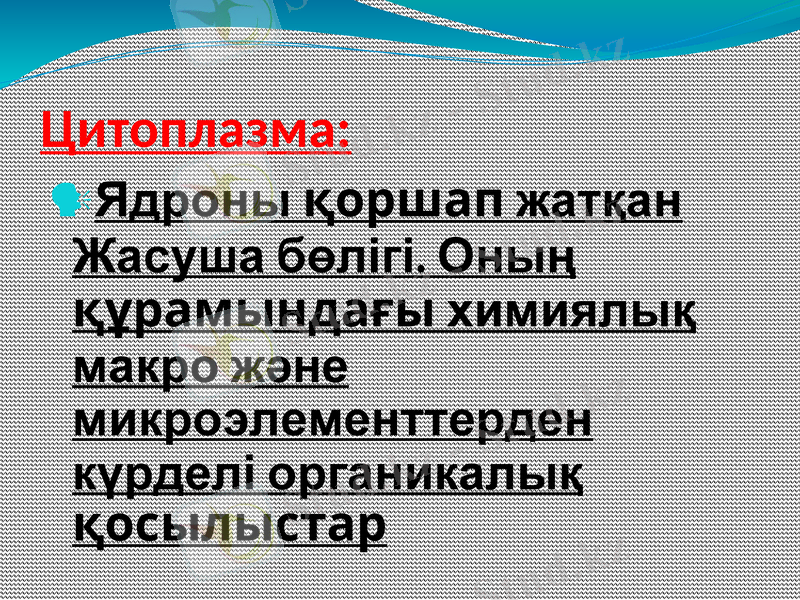 Slide 7
