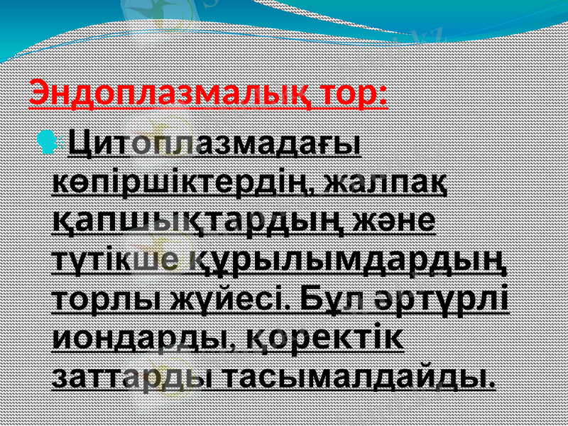 Slide 8