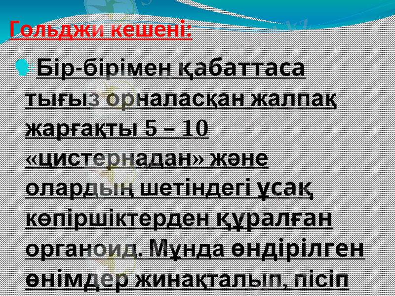 Slide 9