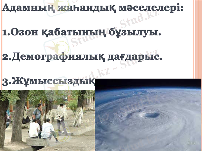 Slide 9