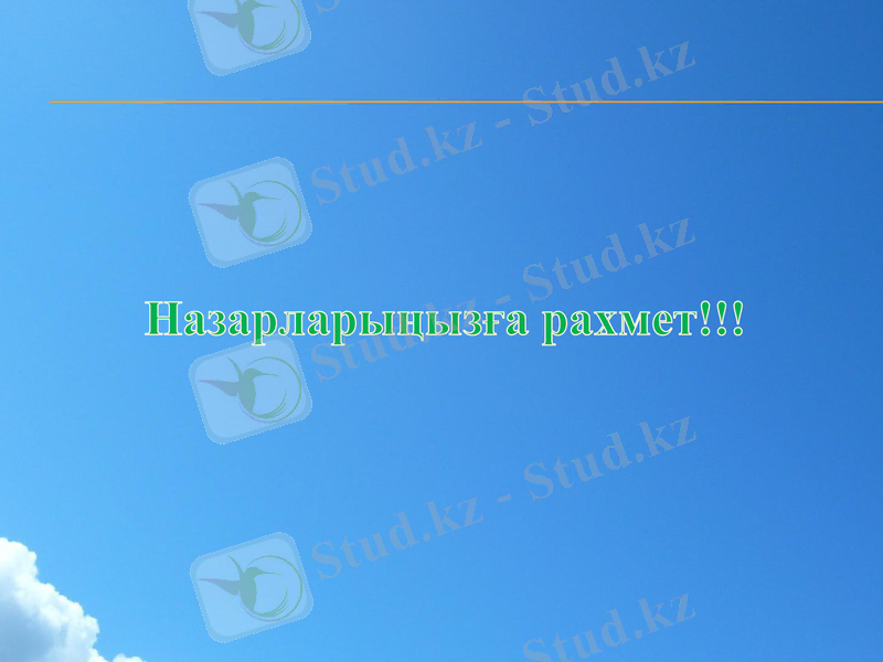 Slide 10