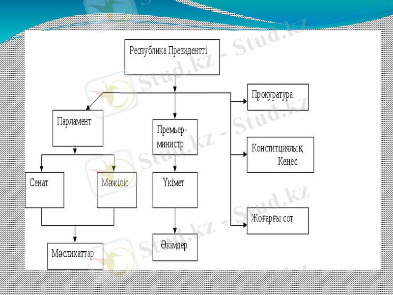 Slide 7