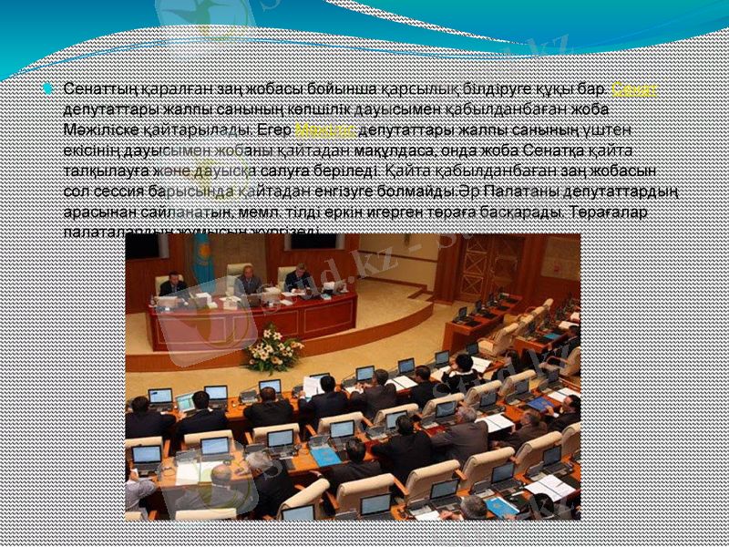 Slide 8