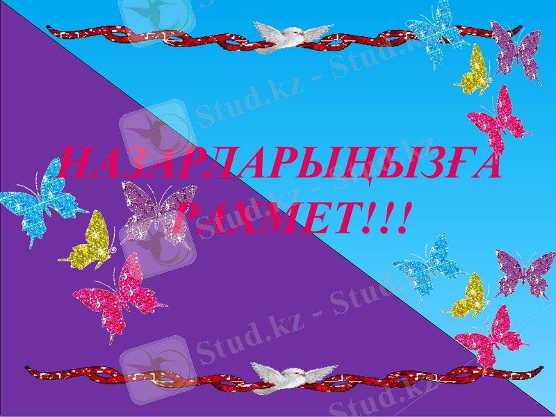 Slide 9
