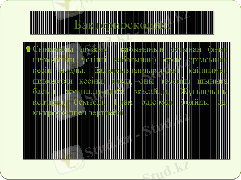 Slide 9