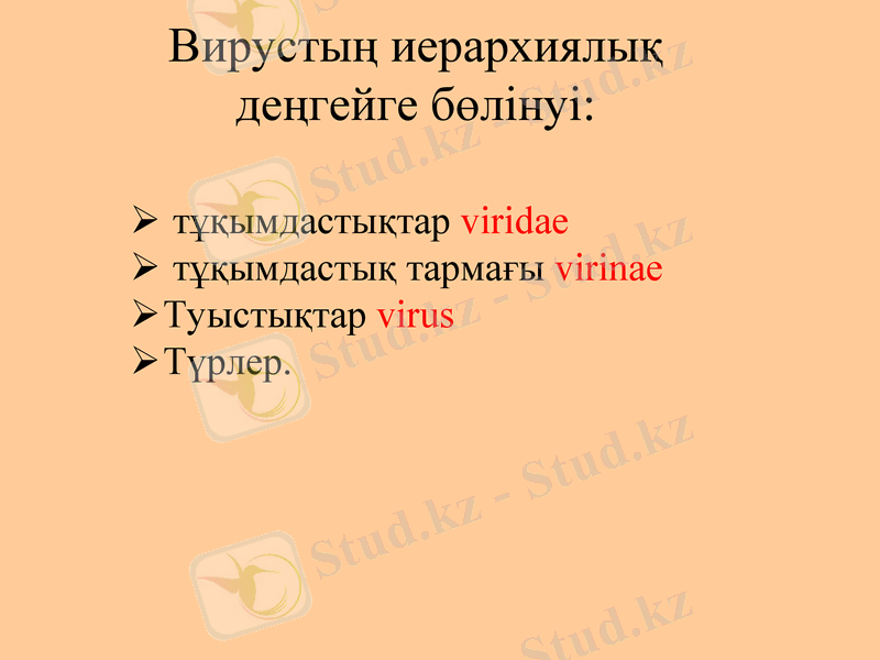 Slide 13