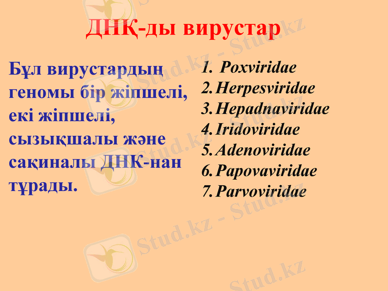 Slide 15
