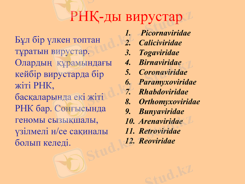 Slide 16