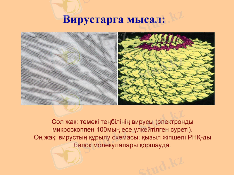 Slide 17