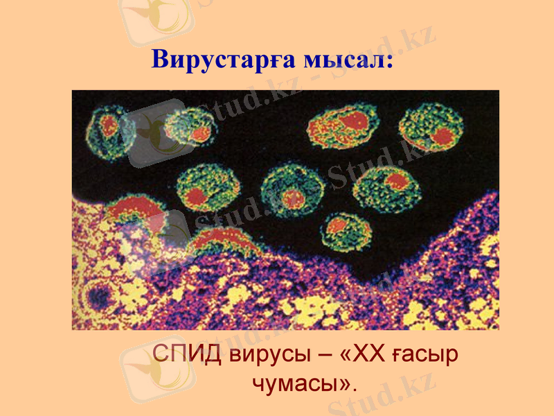 Slide 18