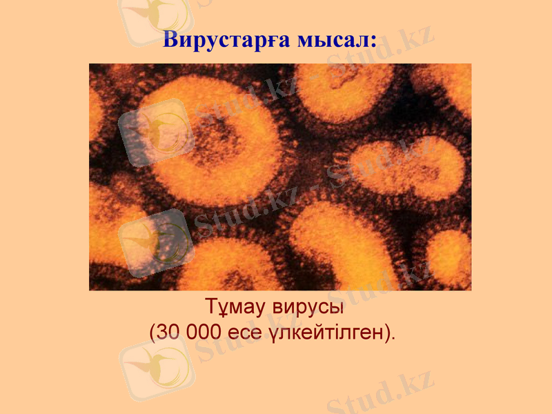 Slide 19