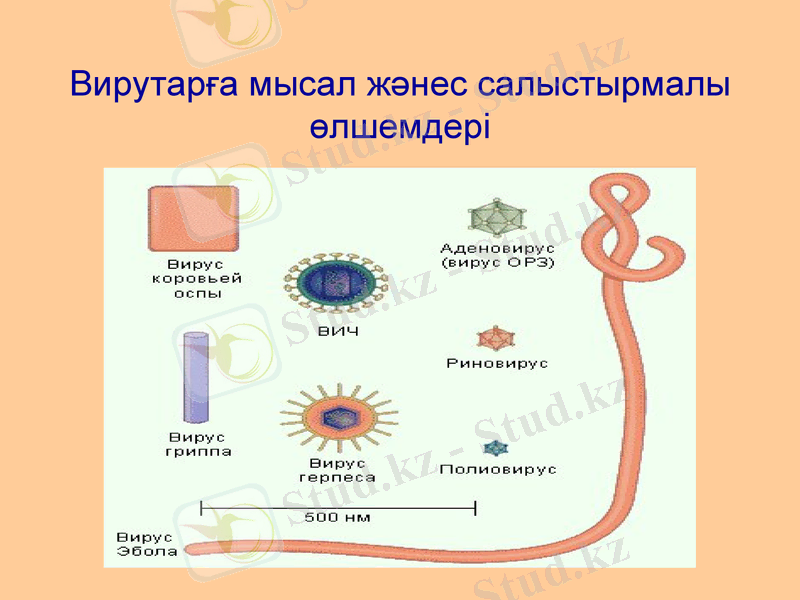 Slide 20