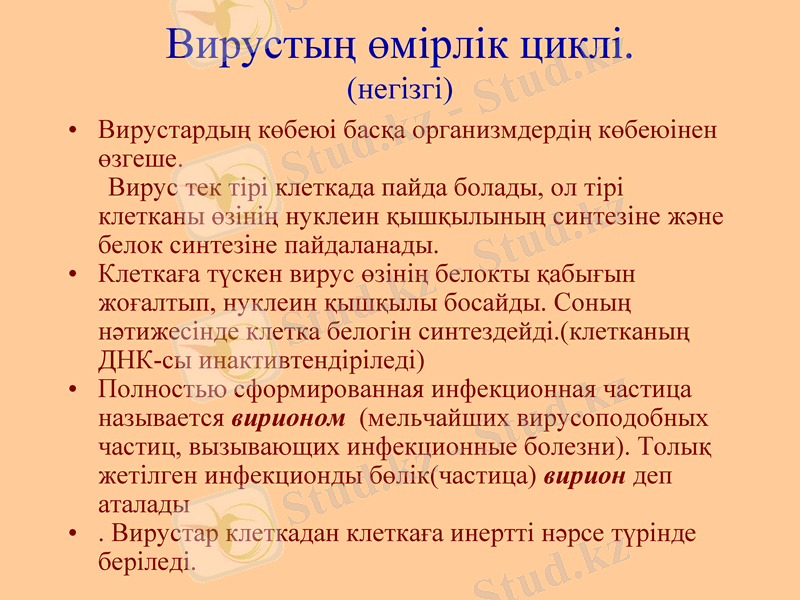 Slide 21