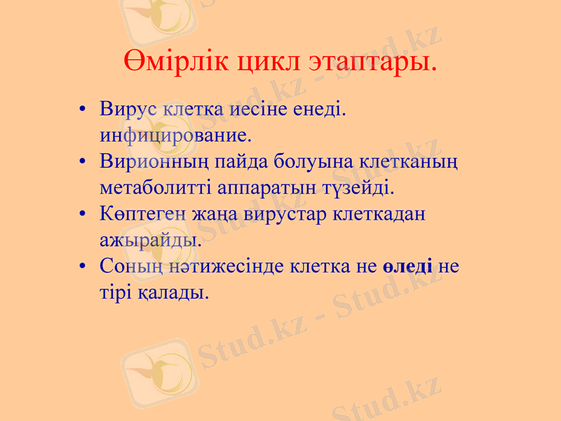 Slide 22