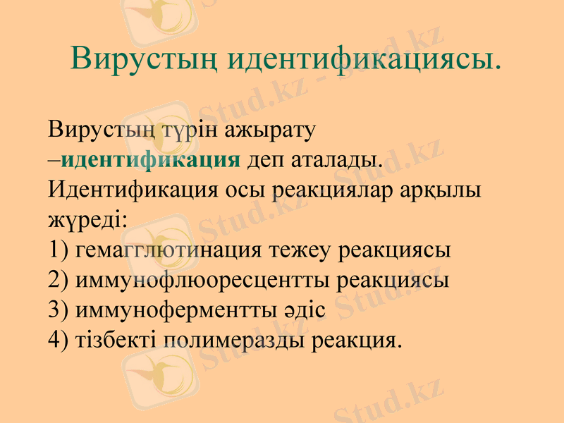 Slide 23