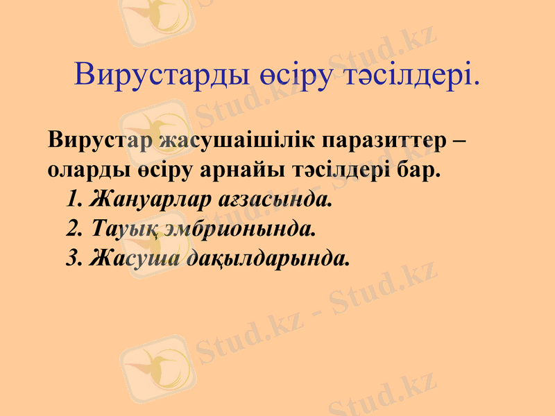 Slide 24