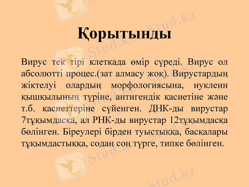 Slide 25
