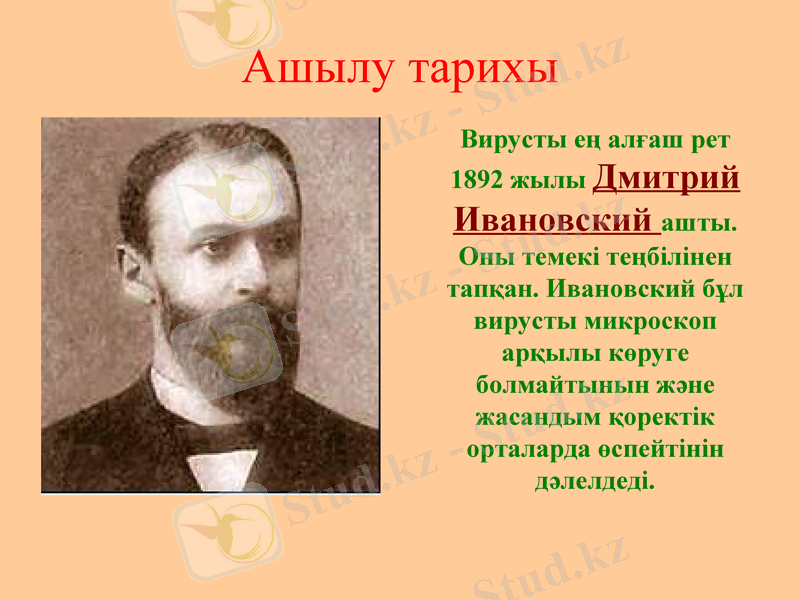 Slide 5