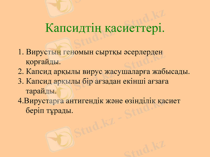 Slide 7